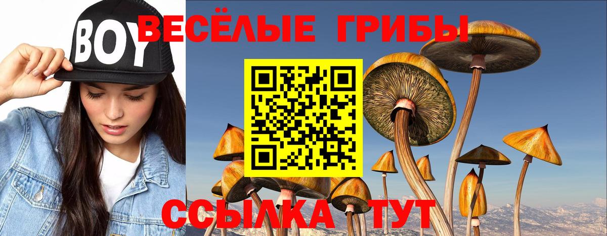 Маркс  Псилоцибиновые грибы ЛСД  Вход с VPN 